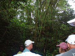 Saint Kitts 072