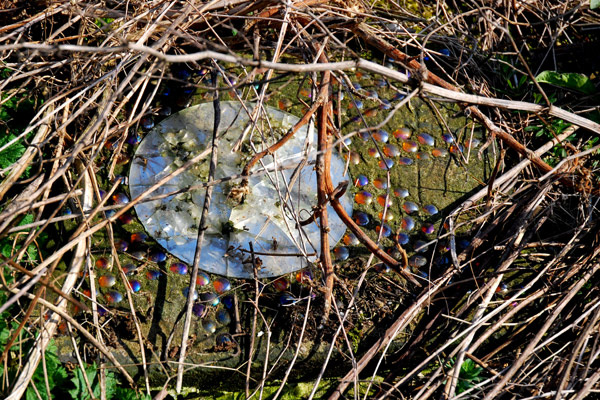 Canalside mosaic