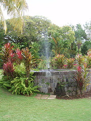 Saint Kitts 038