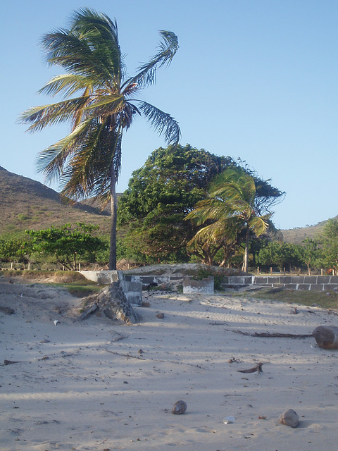 Saint Kitts 097