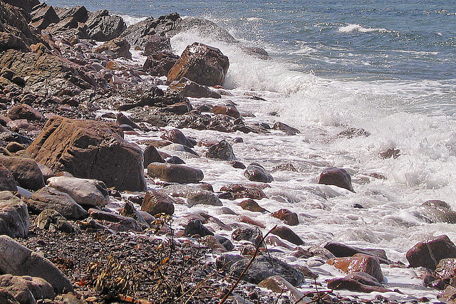 Cape Breton Surf