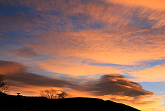 Aurore du 21 novembre- nuage animal