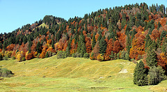Herbst im Bregenzerwald