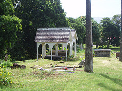 Saint Kitts 044