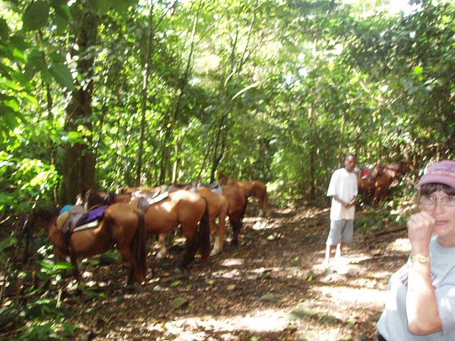 Saint Kitts 071