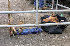 Rodeo Boots and Gear – Knowlton, Québec