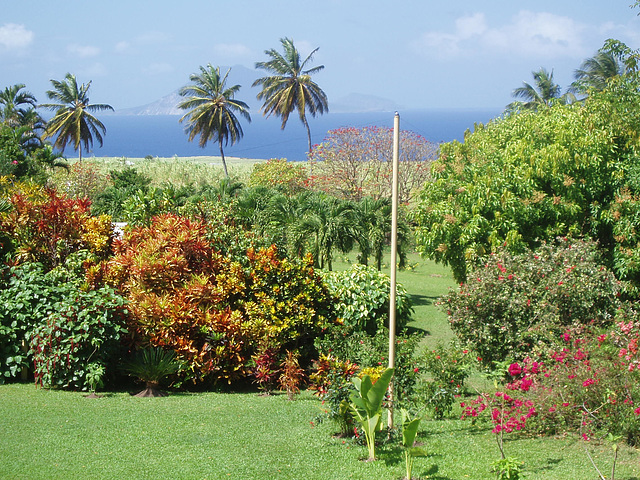 Saint Kitts 051