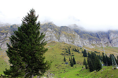 Am Säntis