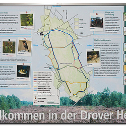 Drover Heide, Schild