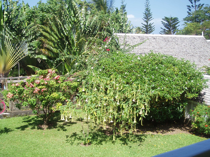 Saint Kitts 050