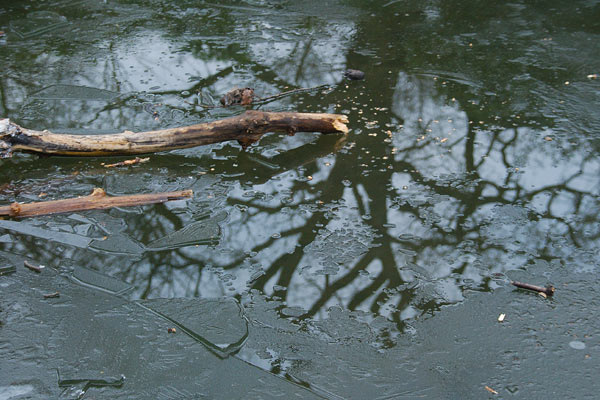 Icy pond