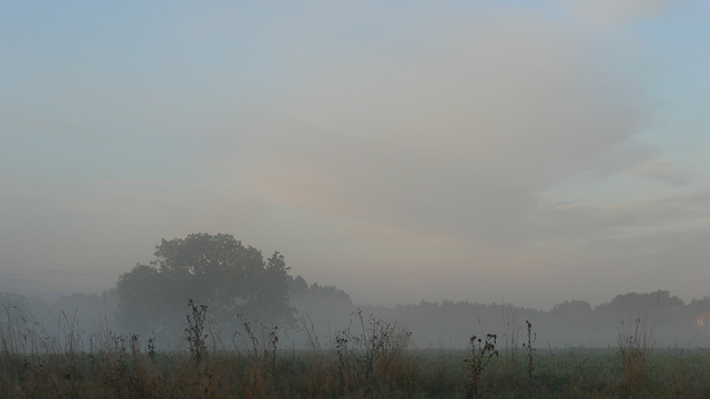 herbstlicher Morgen