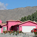 Bright Pink House at Cactus and 2nd (7926)