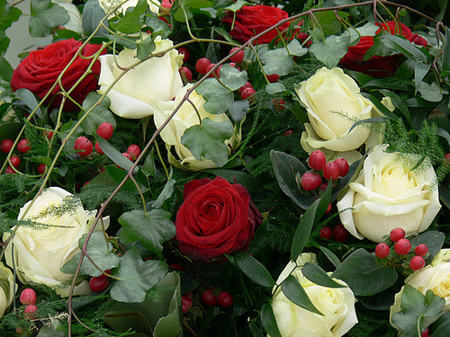 letzte Blumengrüße