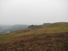 IMG 0124