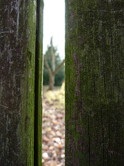 ... durchgelugt