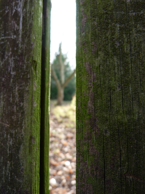 ... durchgelugt