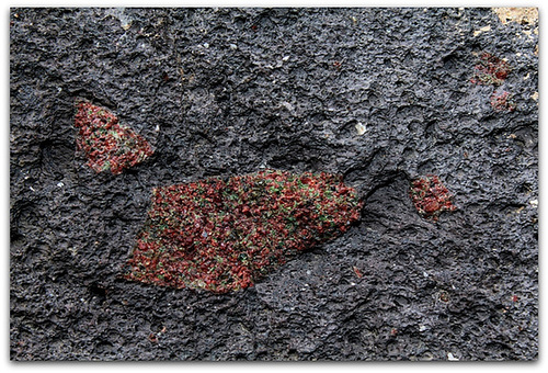 Péridot-olivine altéré