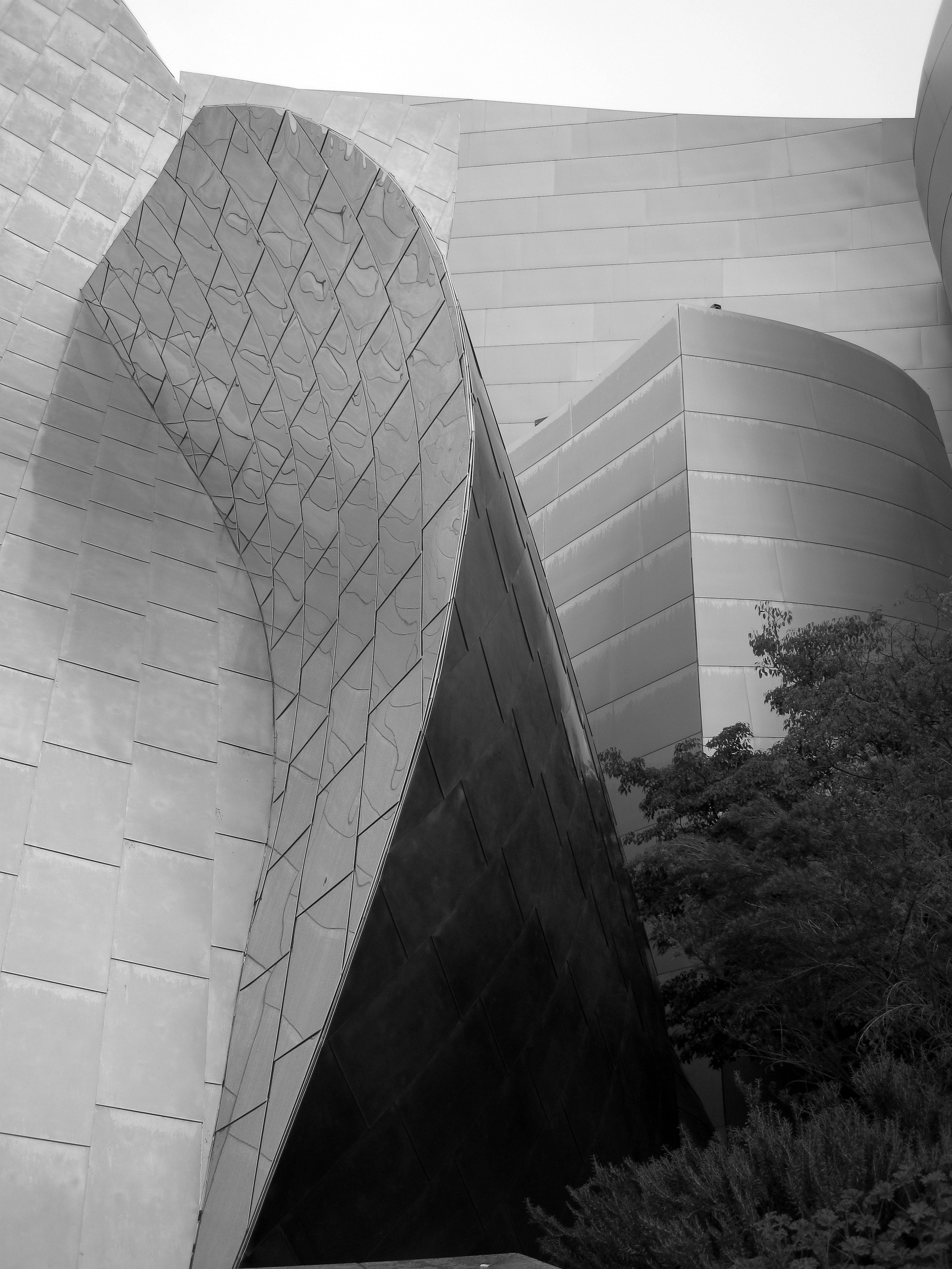 Disney Hall (08-39-50)