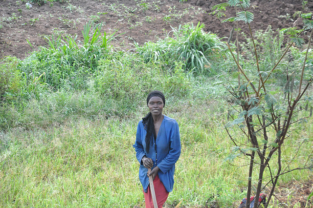 Kamparanino en Akagera