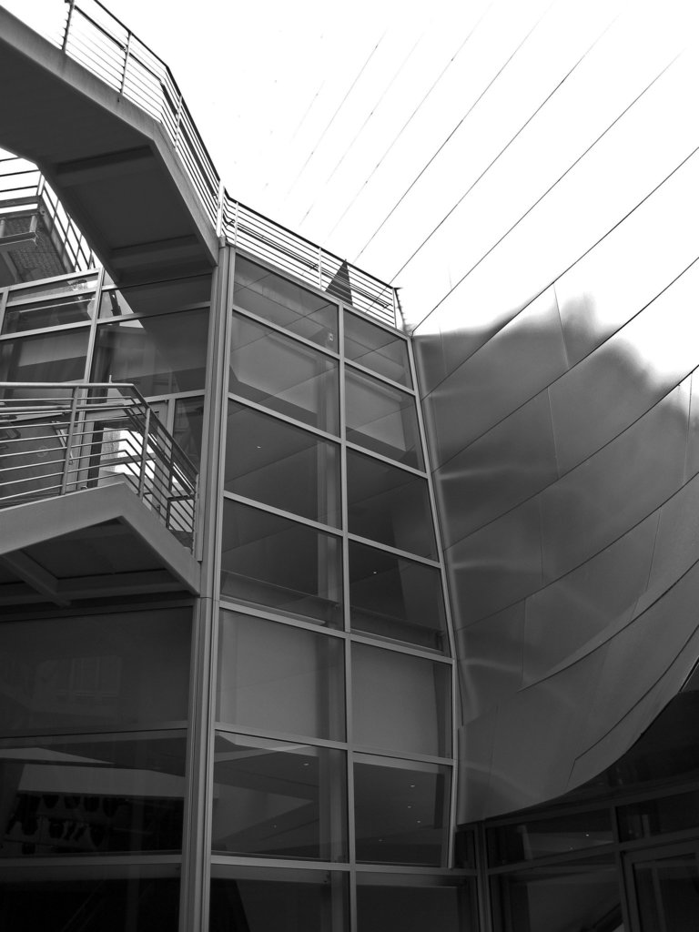 Disney Hall (08-41-52)