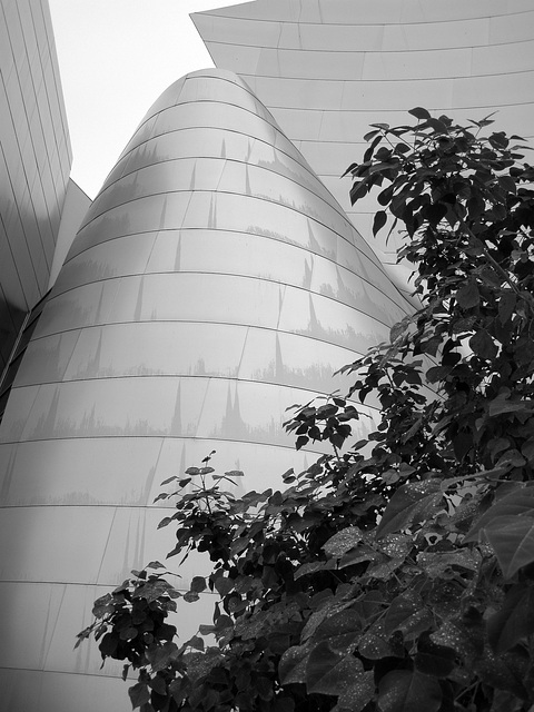 Disney Hall (08-43-48)