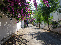 Les rues de Büyük Ada 3