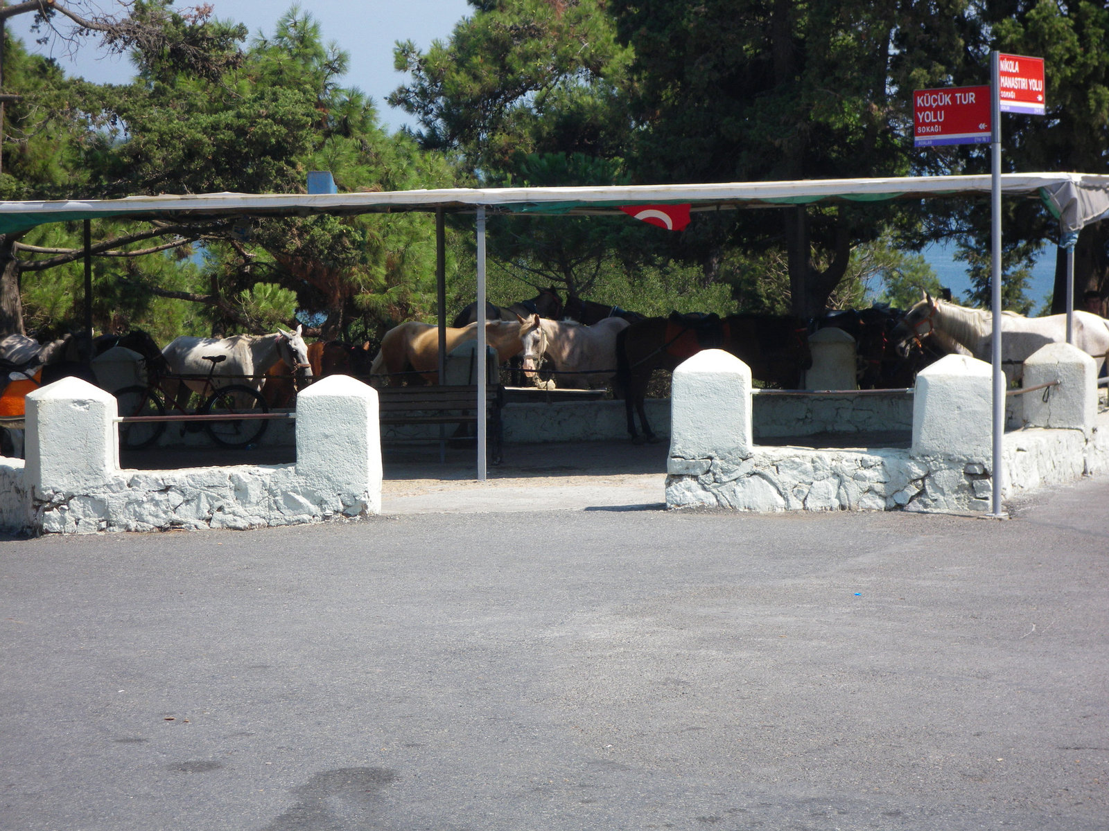 Parc à chevaux