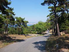Les routes de Büyük Ada.
