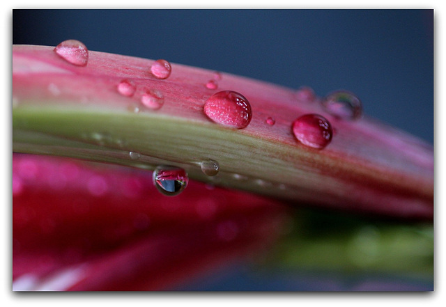 Bijou de fleur
