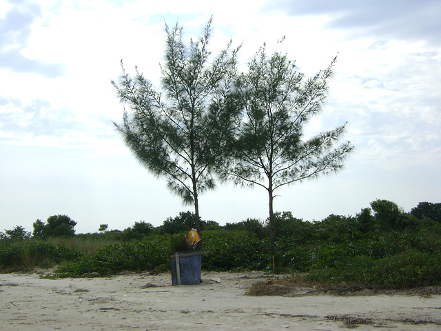 DSC06919
