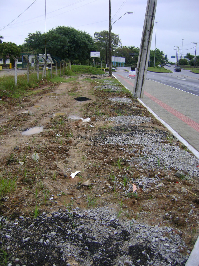 DSC07388