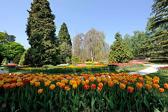 Le parc de l'Indépendance...