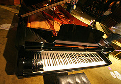 Nethercutt Collection - 96-key Piano (9046)