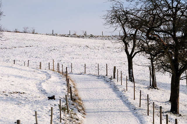 Schneeweg - 121208