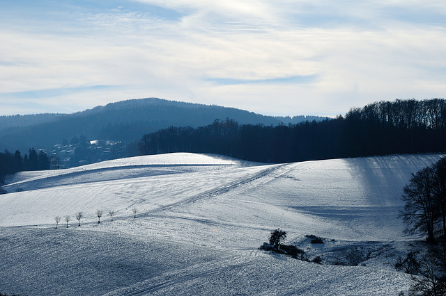 Winterleuchten - 121208