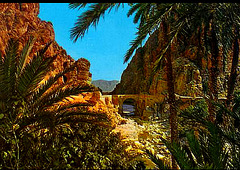 Biskra.