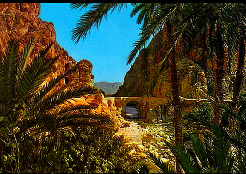 Biskra.