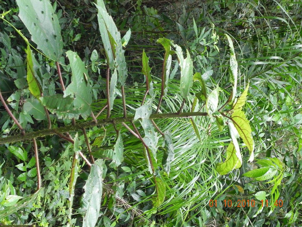 DSCN1655