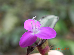 DSCN1702
