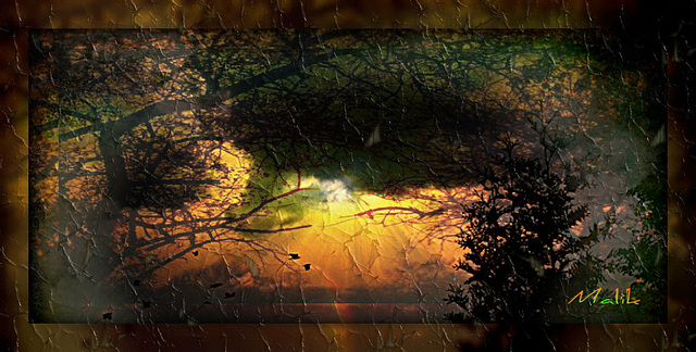 Belle fin de semaine.