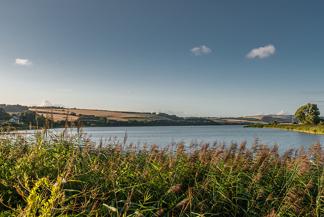 Abend in Torcross - 20140812