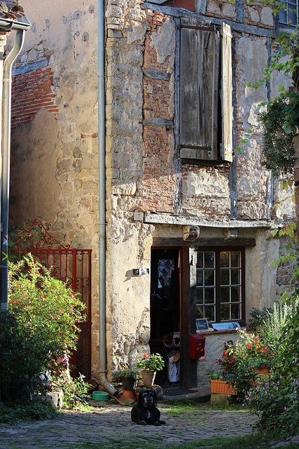 Cordes sur ciel