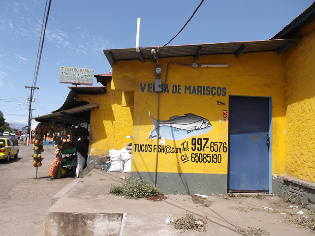 Venta de mariscos / Fruits de mer / Seafood.