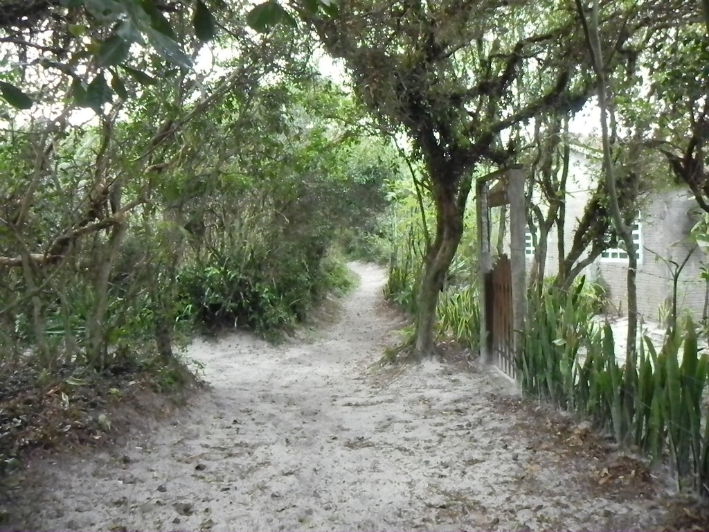 DSCN1802