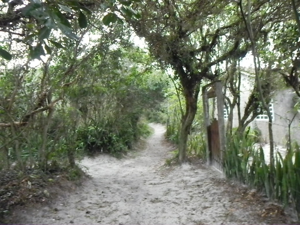 DSCN1817