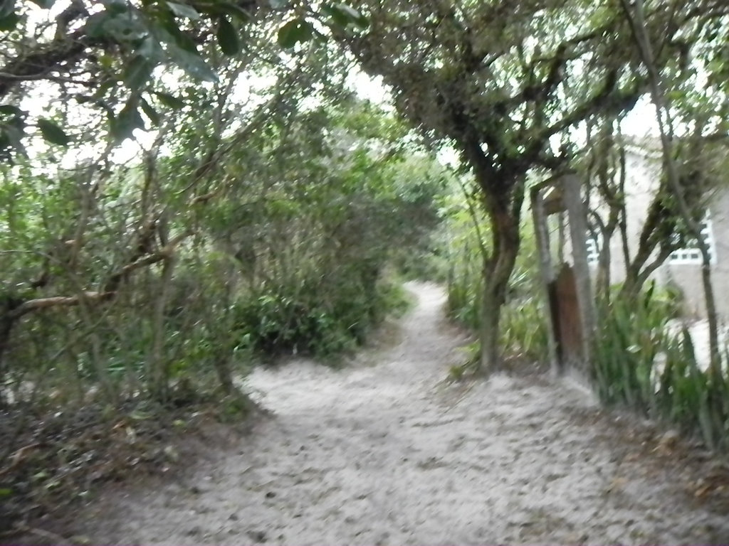 DSCN1819