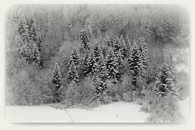 IMG 3080- paysage hivernal - version B&W