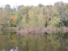 1.Tiefbau / Gipsbüche - Sperenberg