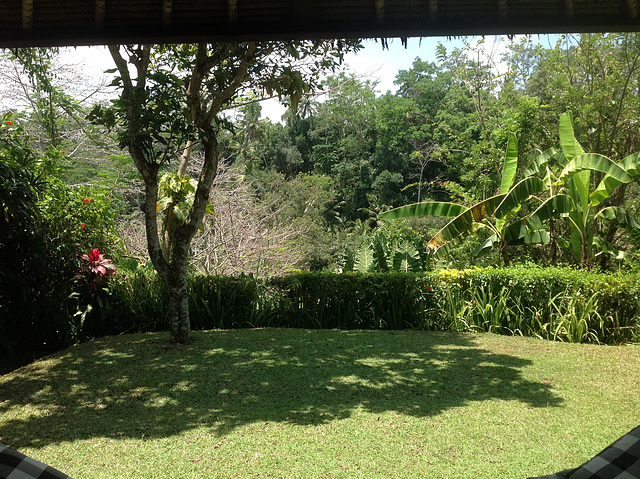 21 View Into Valley From Our Villa